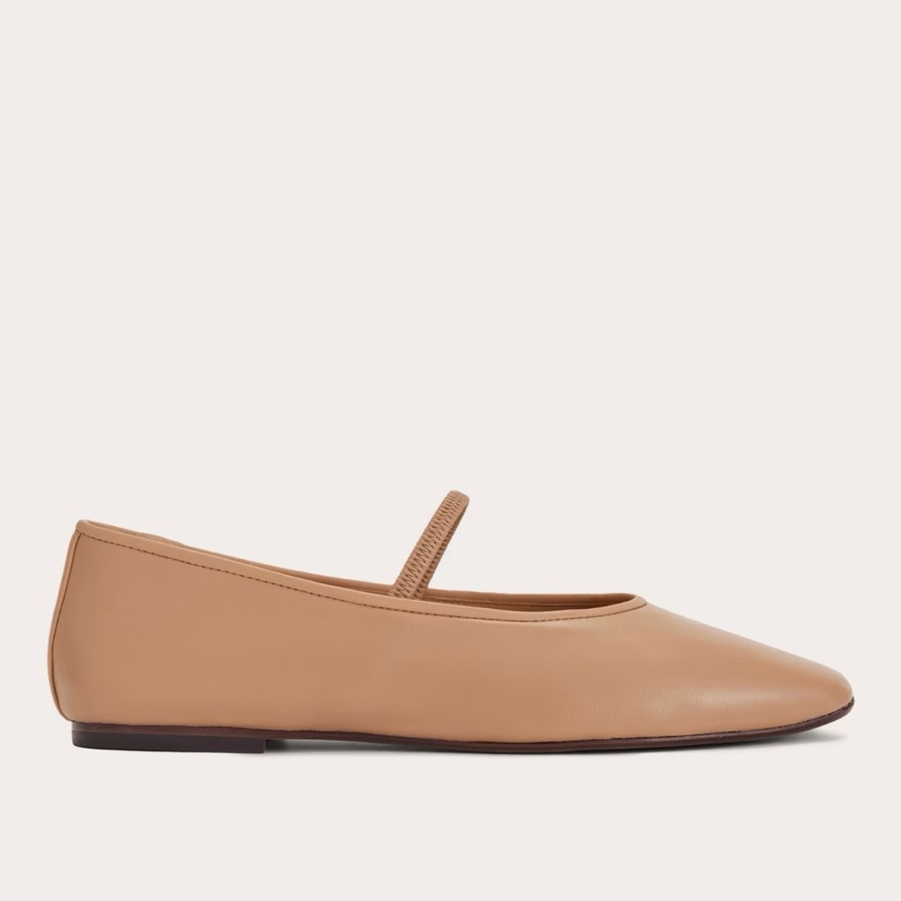 NEW‎ Everlane Blush Tan Leather The Day Mary Jane Flat in Size 11